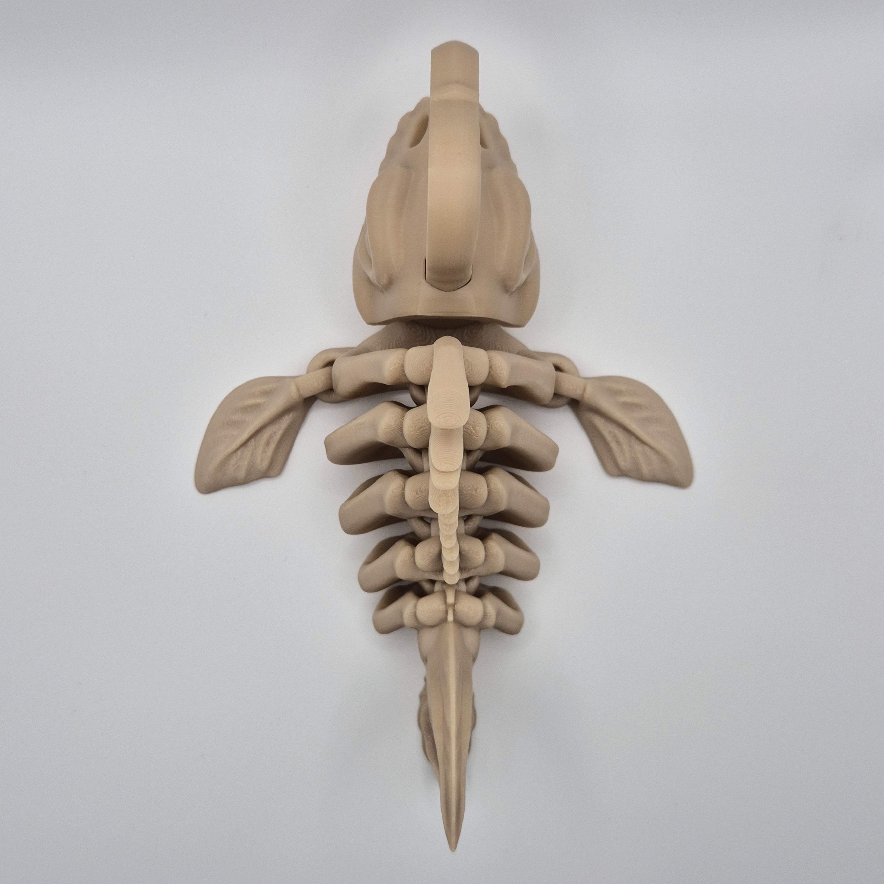 Top view of a bone-coloured 3D-printed articulating skeleton Anglerfish toy