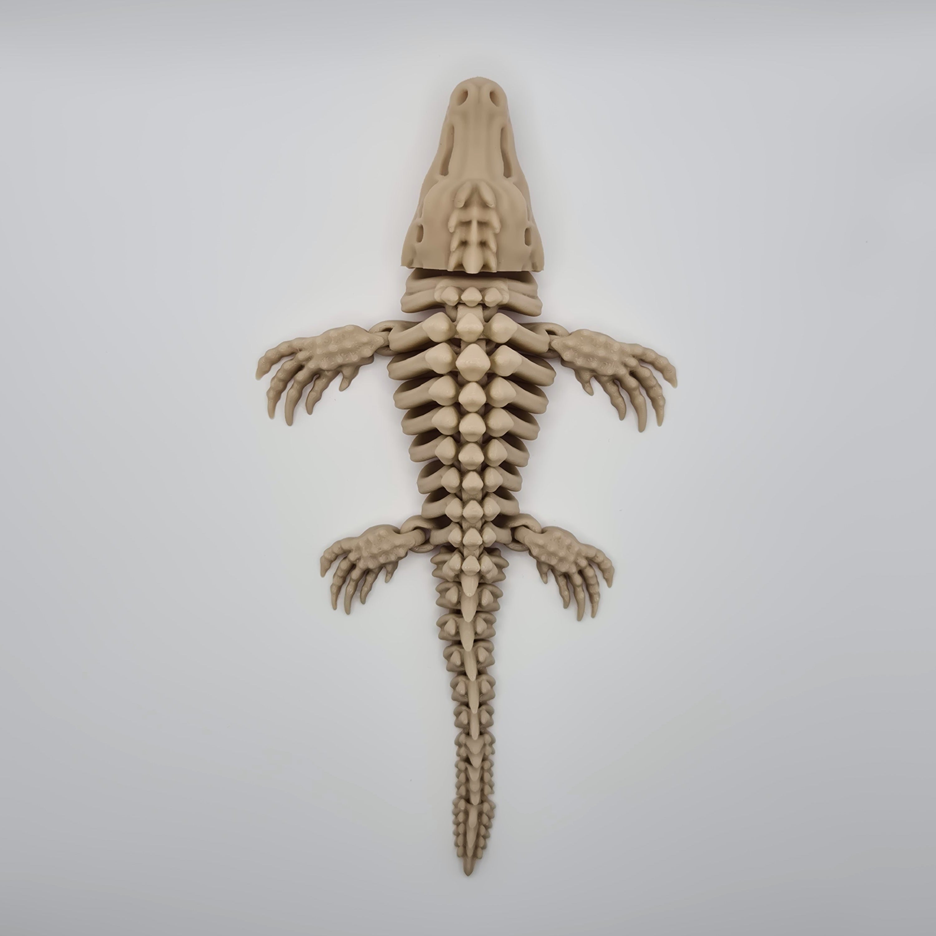 Top view of a bone-coloured 3D-printed articulating skeleton Mosasaurus toy