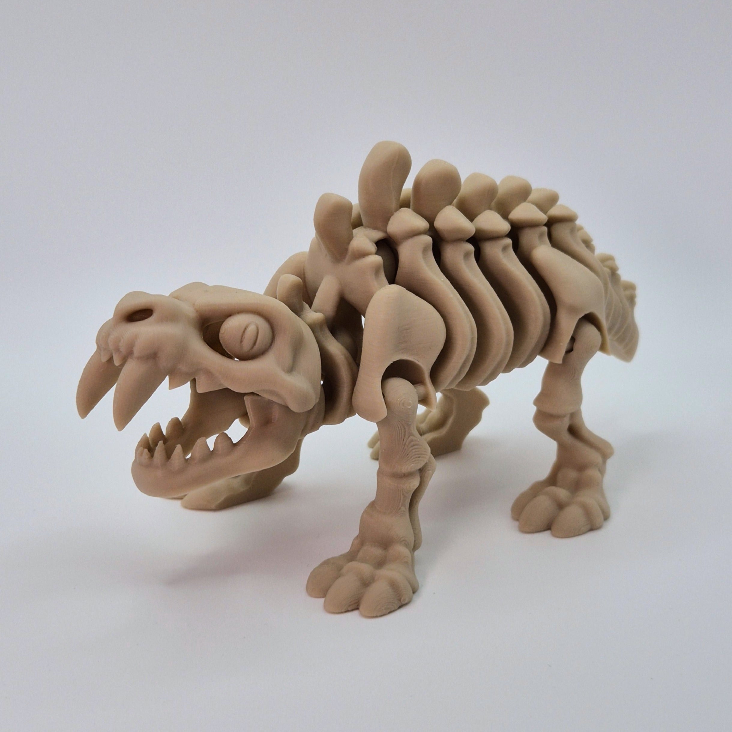Angled front view of a bone-coloured 3D-printed articulating skeleton Sabre-toothed Tiger toy