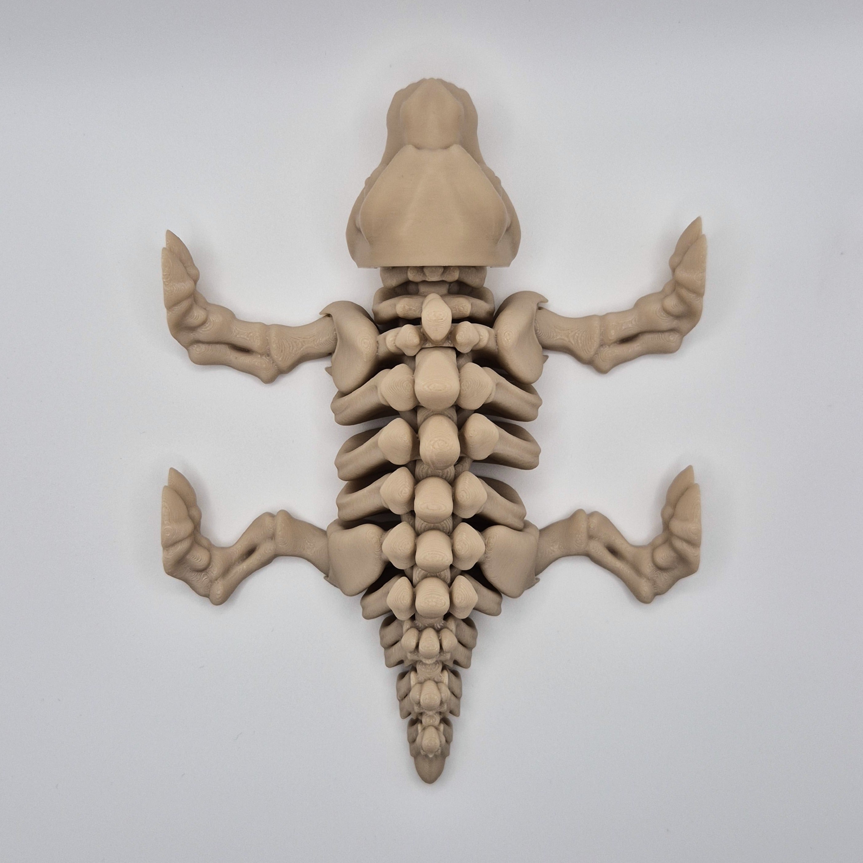 Top-down view of a bone-coloured 3D-printed articulating skeleton Sabre-toothed Tiger toy