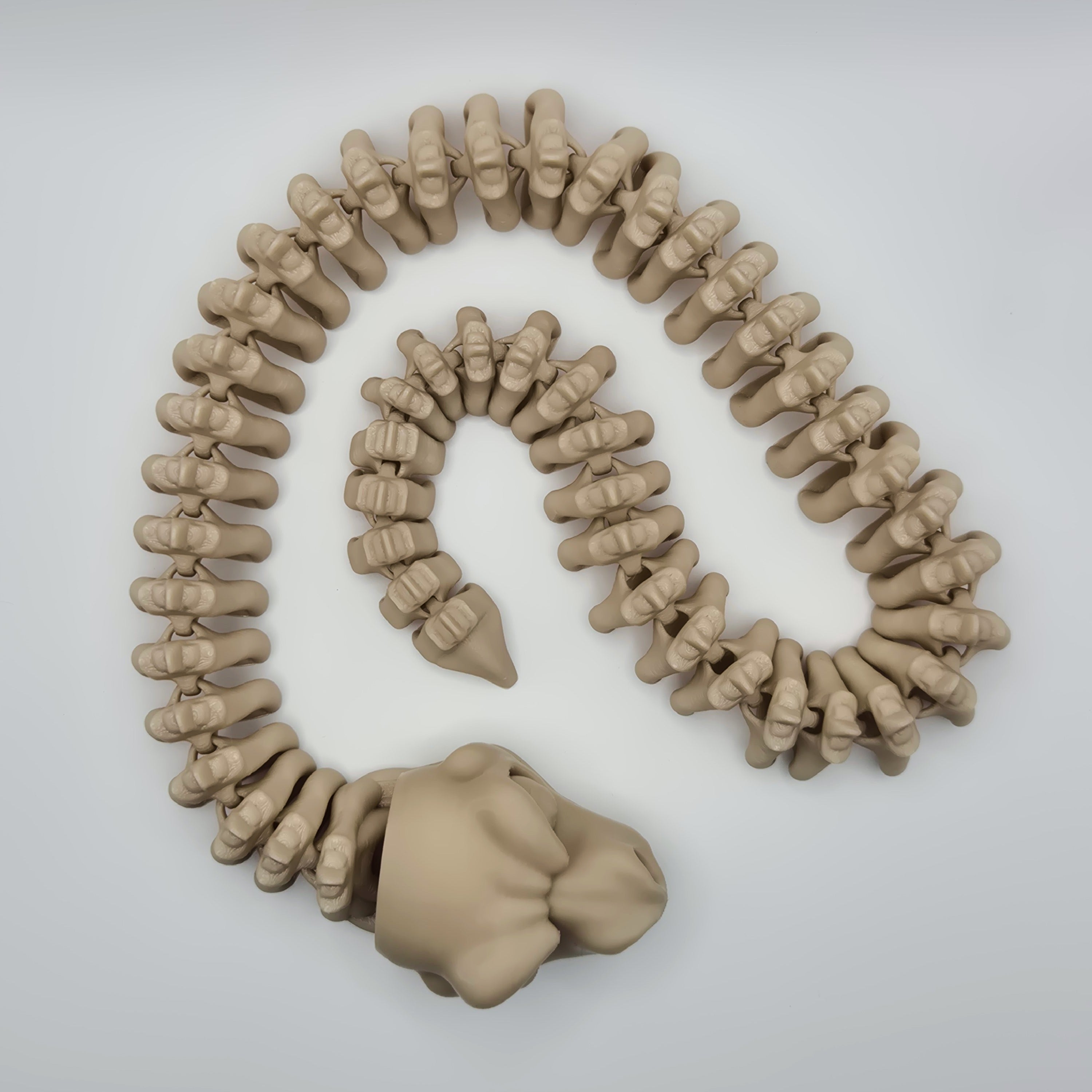 Top view of a bone-coloured 3D-printed articulating skeleton Snake toy