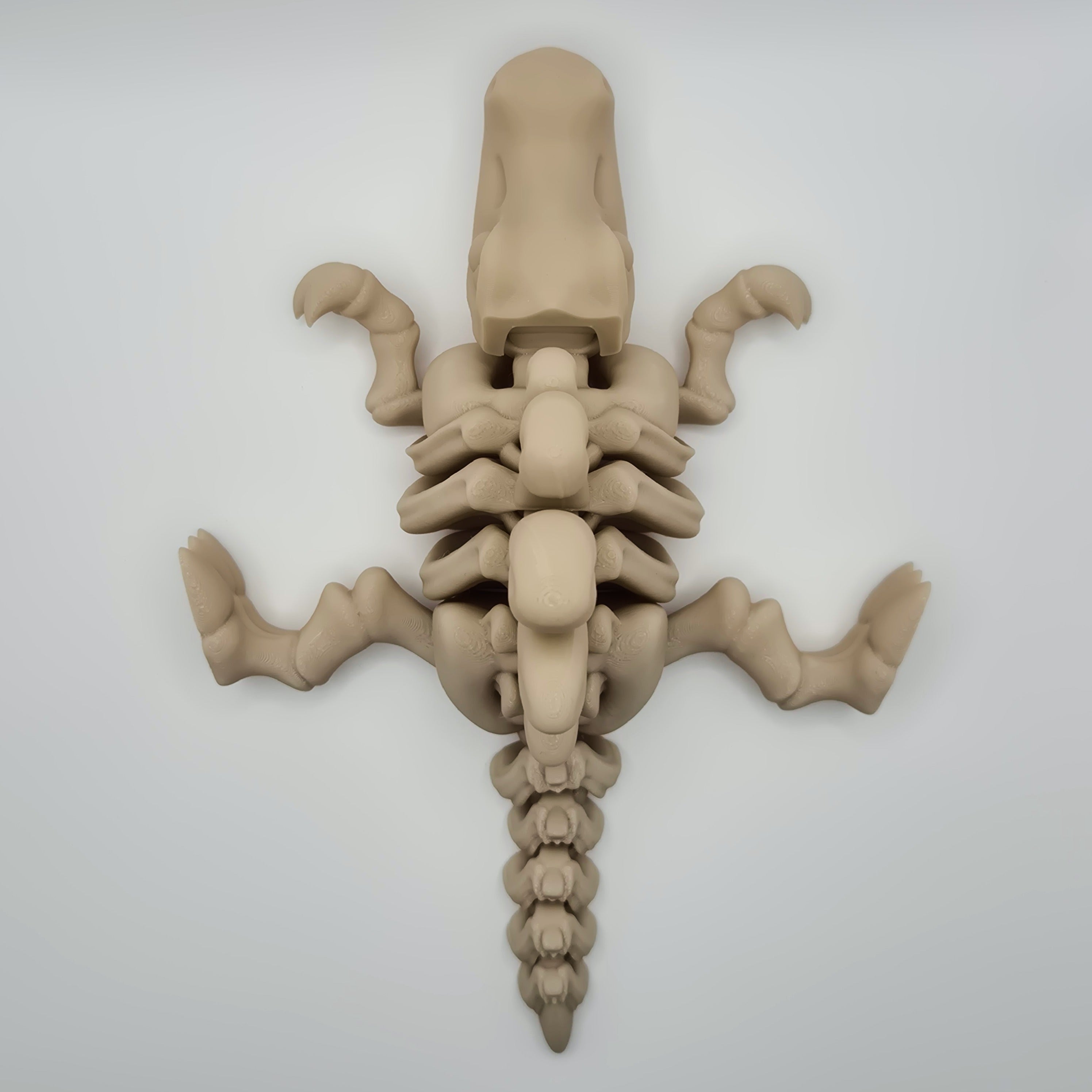 Top-down view of a bone-coloured 3D-printed articulating skeleton Spinosaurus toy