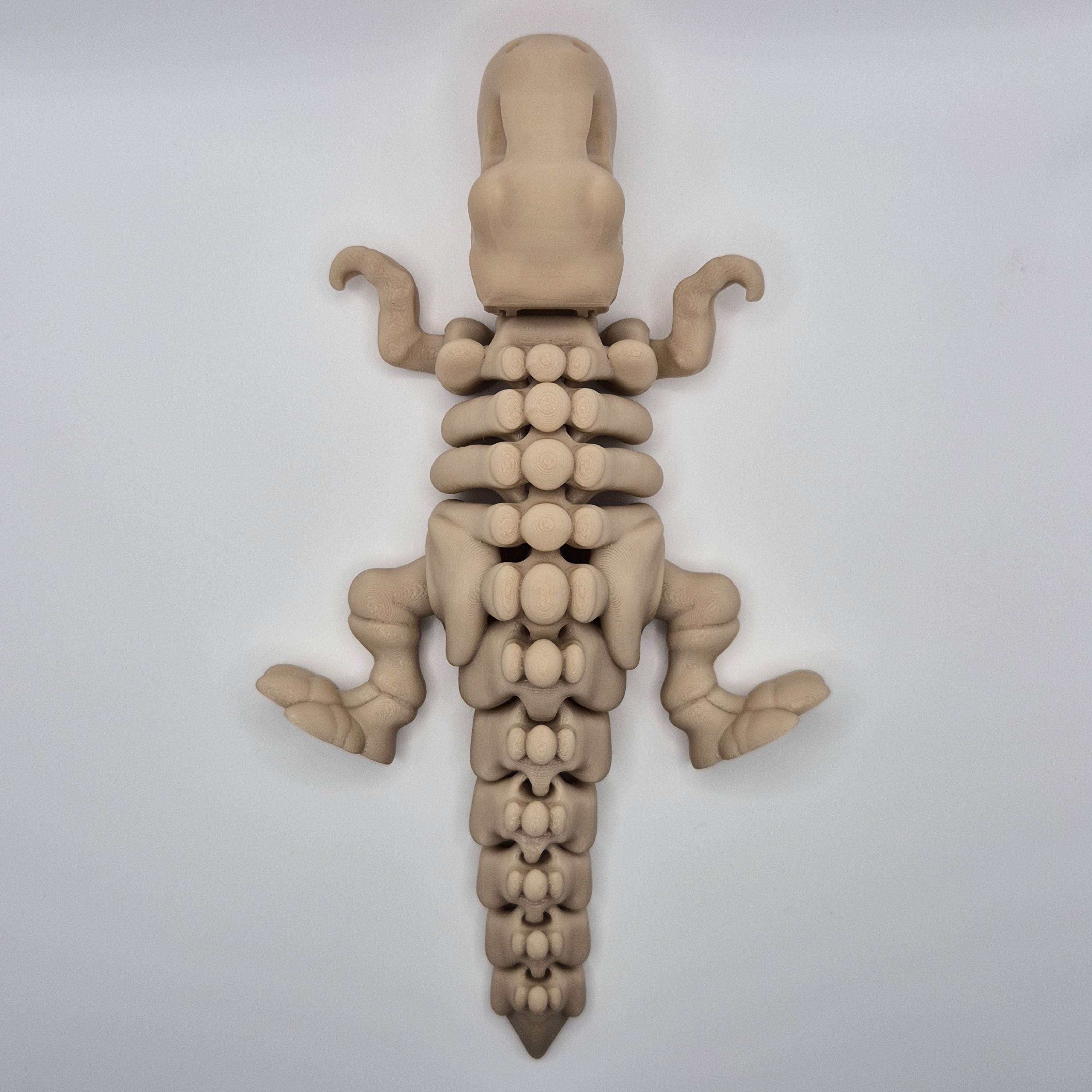 Top-down view of a bone-coloured 3D-printed articulating skeleton Tyrannosaurus Rex toy