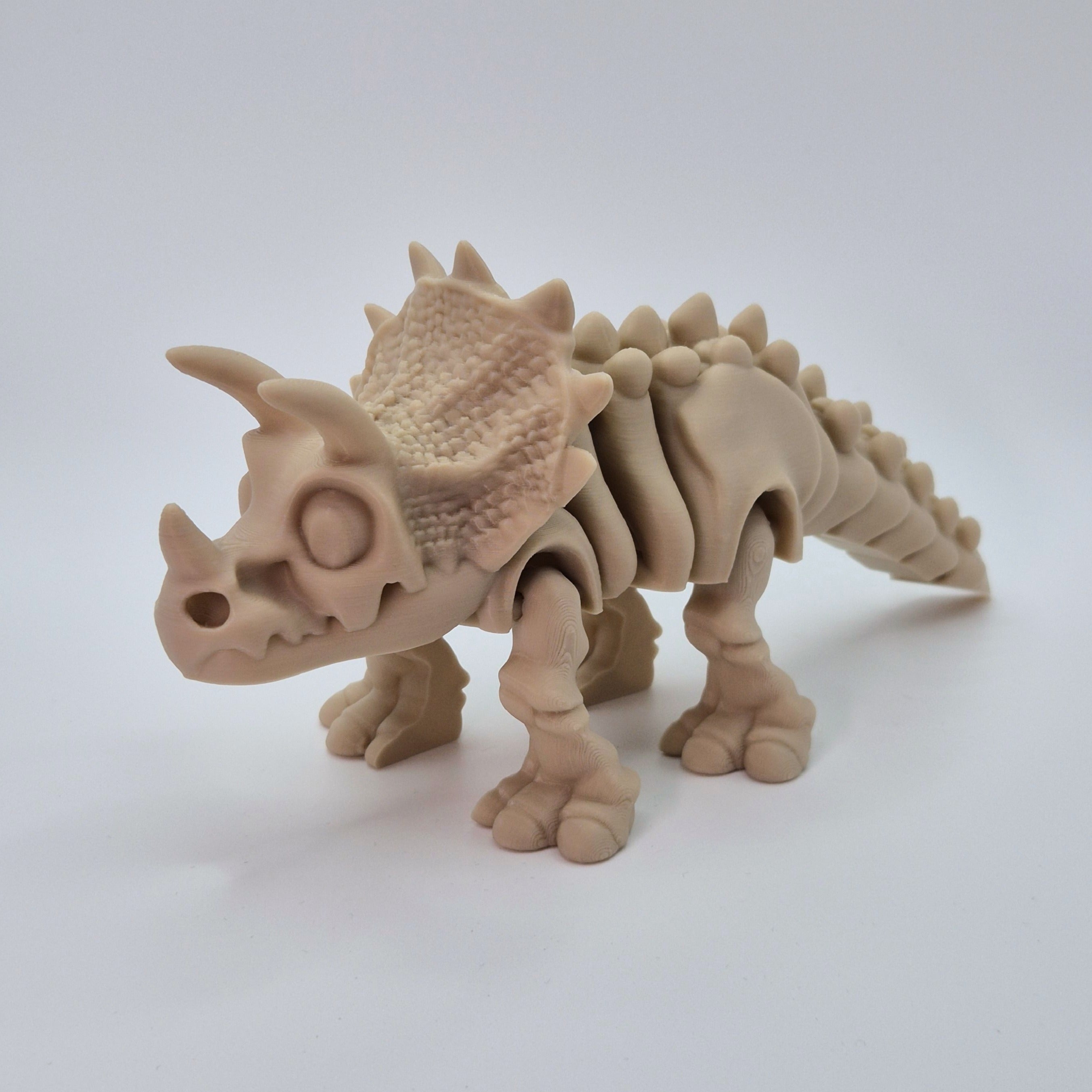 Angled front view of a bone-coloured 3D-printed articulating skeleton Triceratops toy