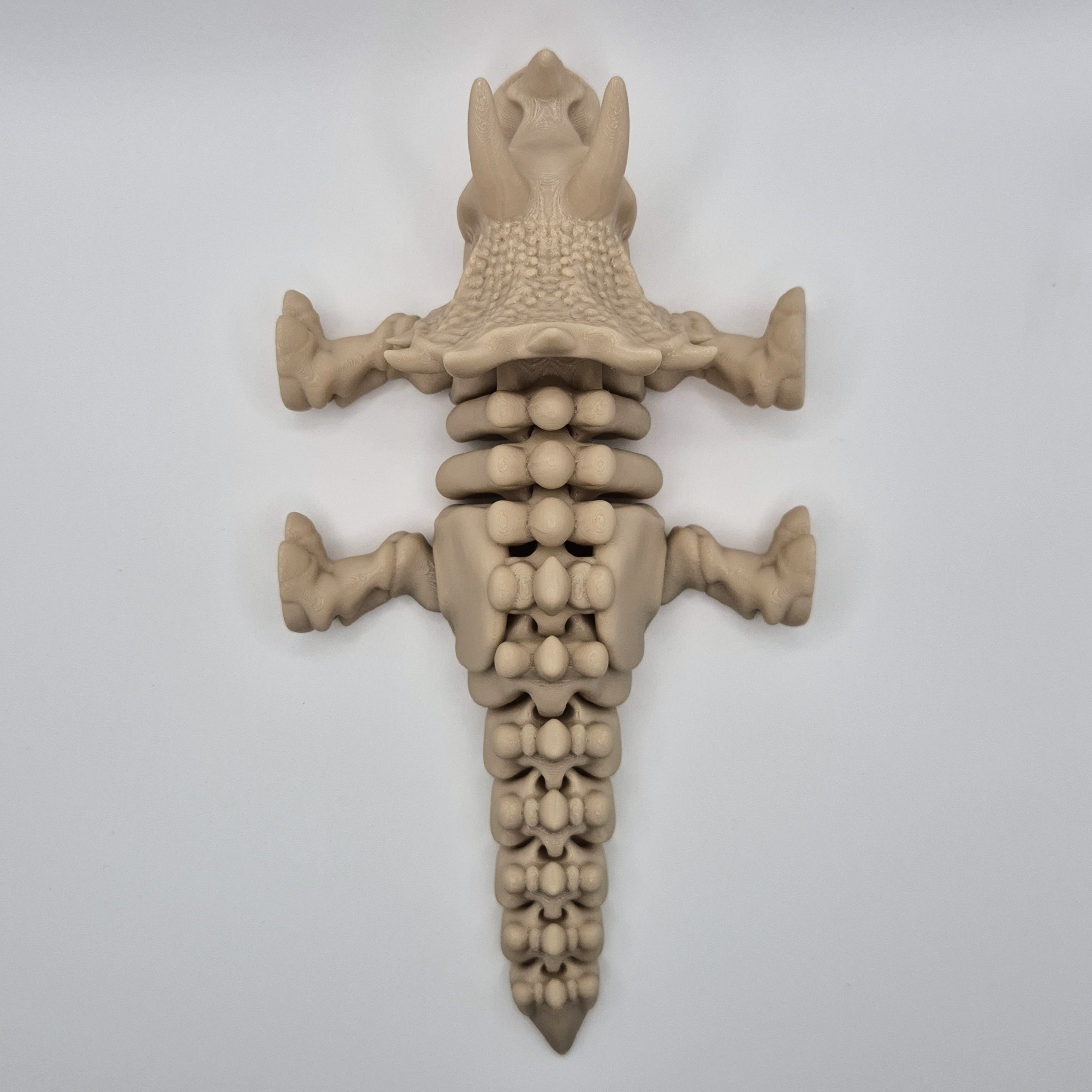 Top-down view of a bone-coloured 3D-printed articulating skeleton Triceratops toy