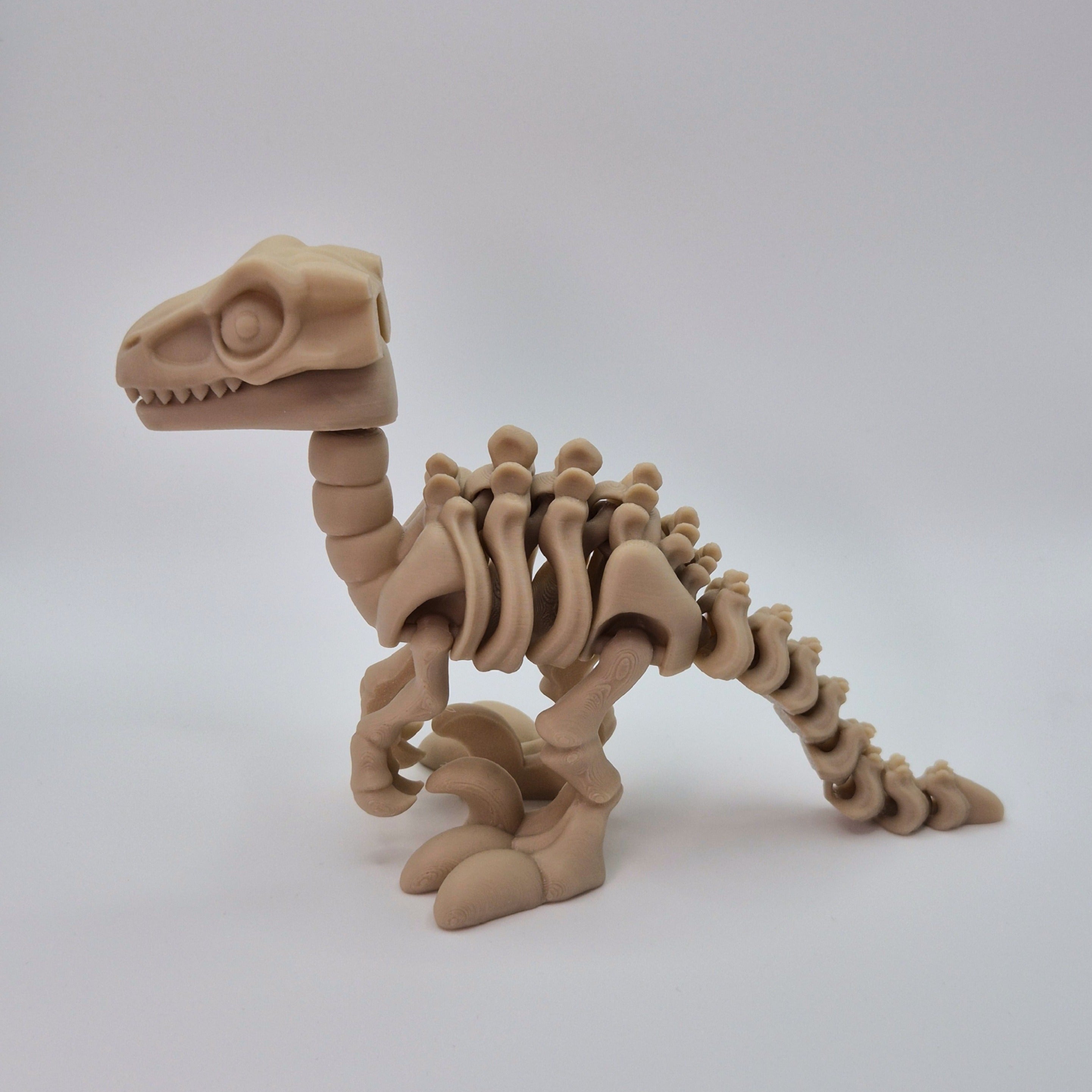 Side view of a bone-coloured 3D-printed articulating skeleton Velociraptor  toy