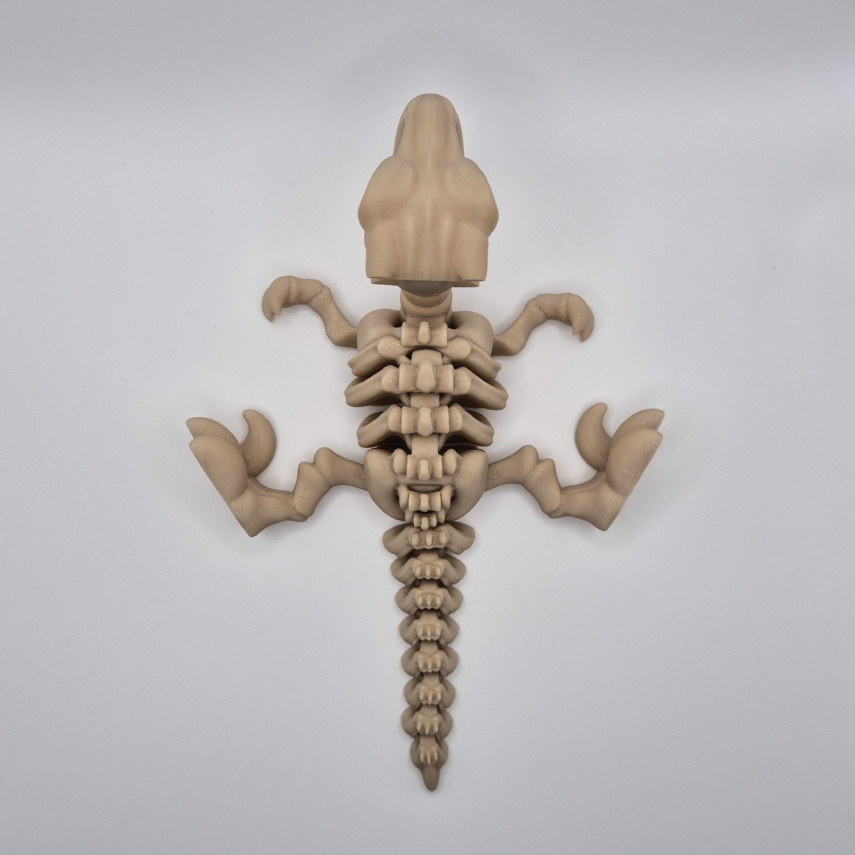Top-down view of a bone-coloured 3D-printed articulating skeleton Velociraptor toy